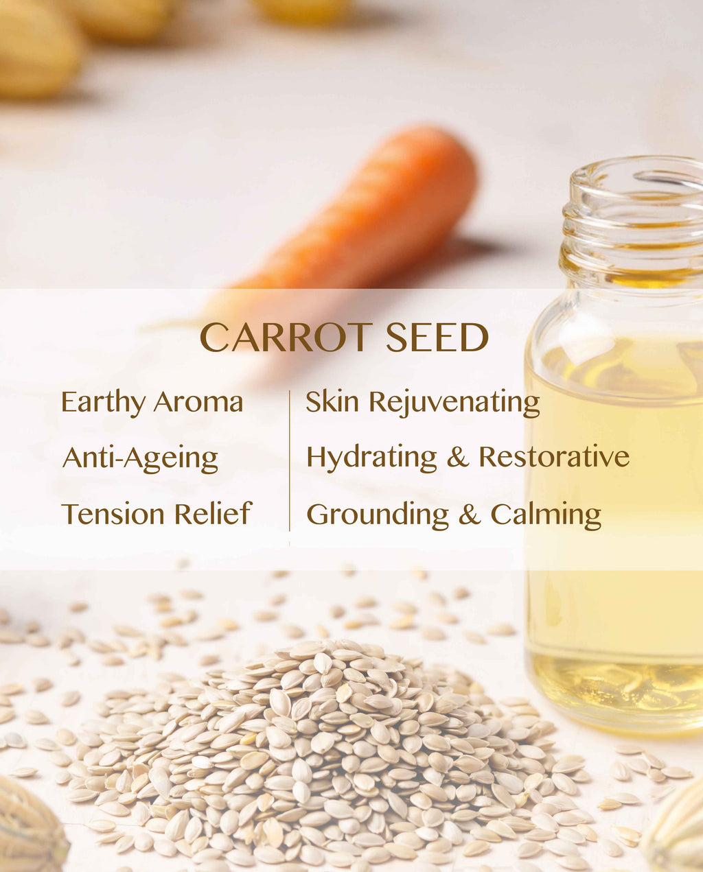 Carrot Seed Essential Oil