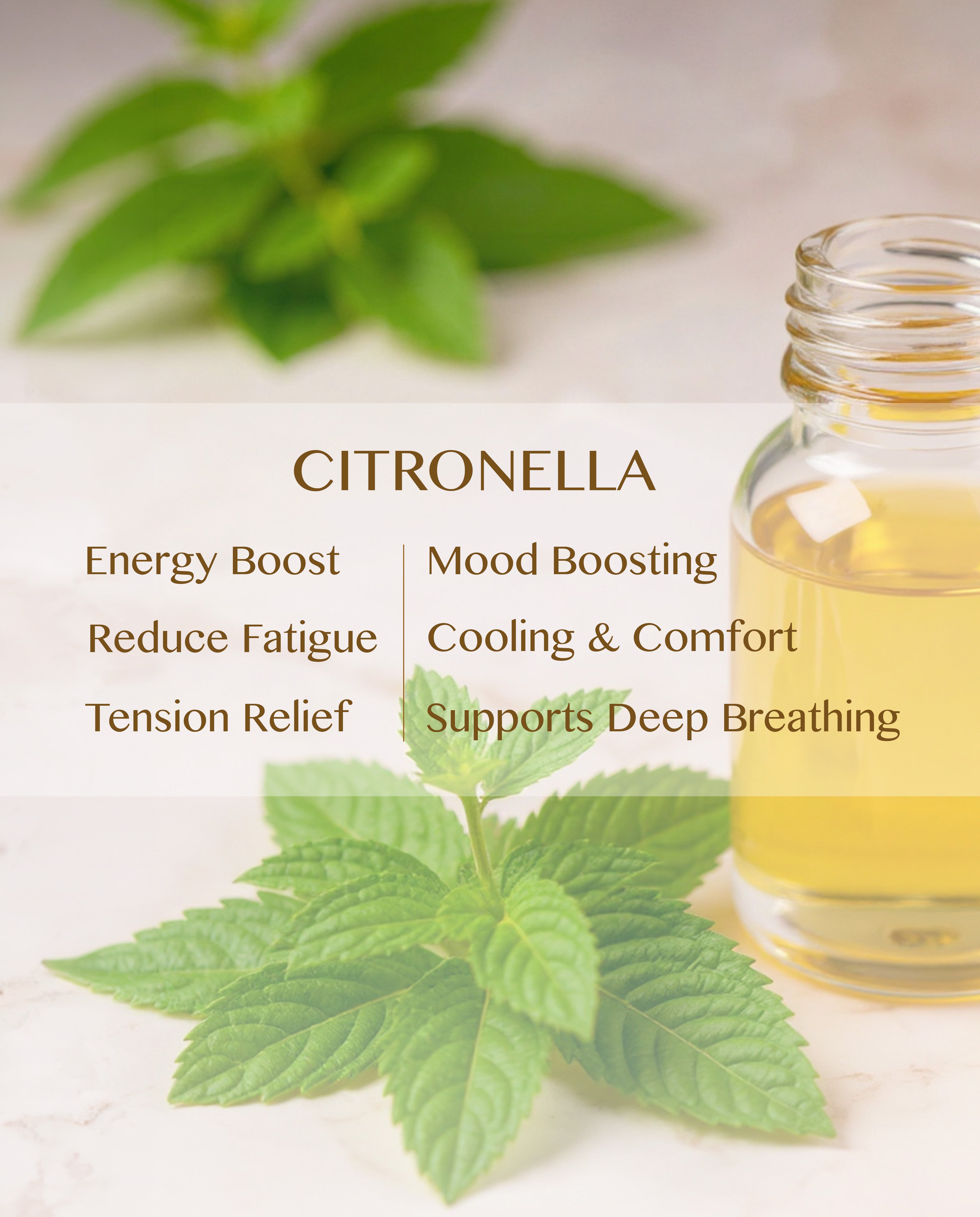Citronella Essential Oil (Cymbopogon Nardus)