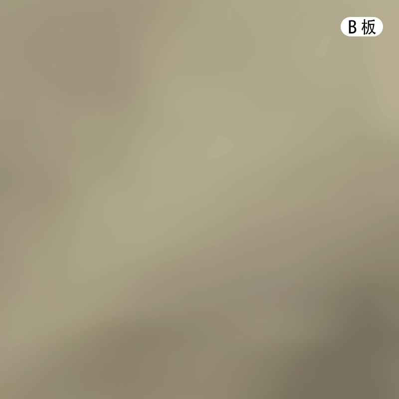3600 Thread Count Satin Cotton Bedding Set N097