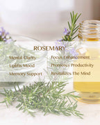 Rosemary essential oil (Rosmarinus officinalis)