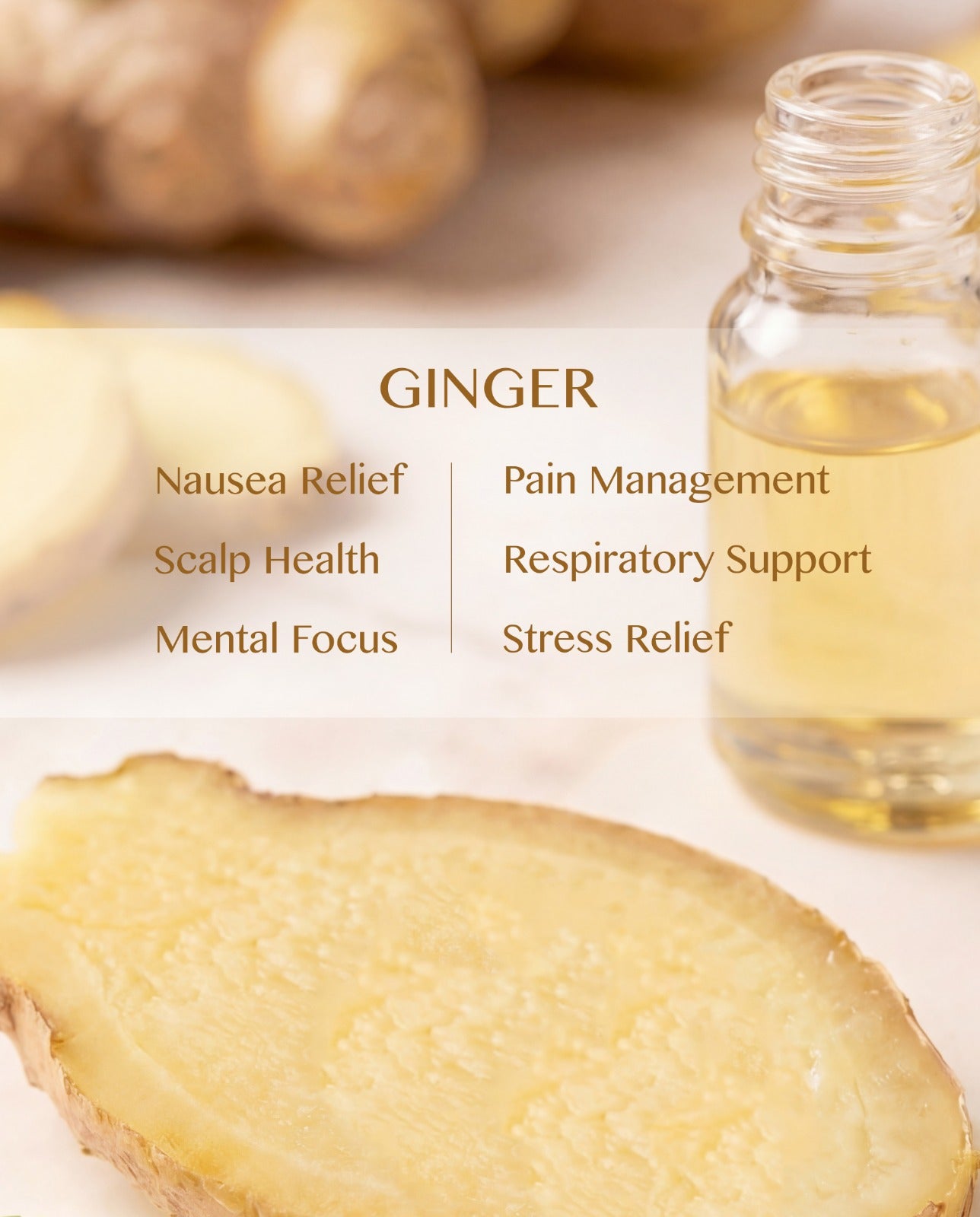 Ginger Essential Oil (Zingiber Officinale)