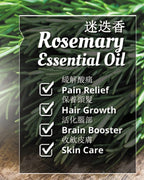 迷迭香精油 (Rosmarinus officinalis) 