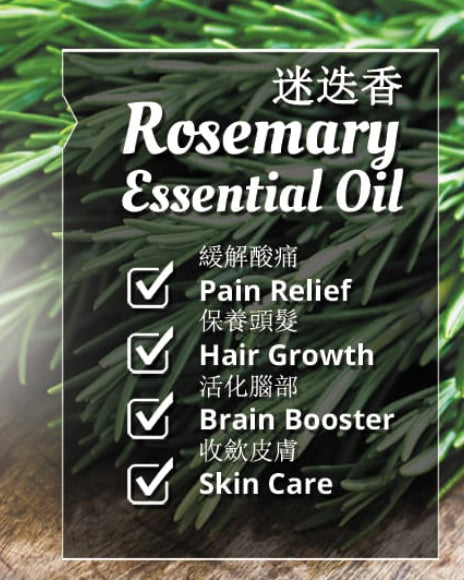 迷迭香精油 (Rosmarinus officinalis) 